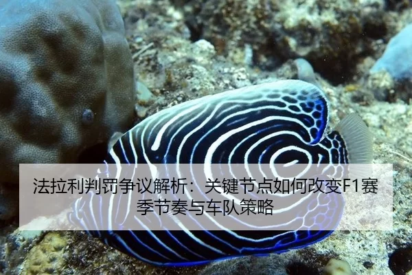法拉利判罚争议解析：关键节点如何改变F1赛季节奏与车队策略 | Kaiyun